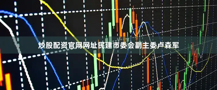 炒股配资官网网址民建市委会副主委卢森军