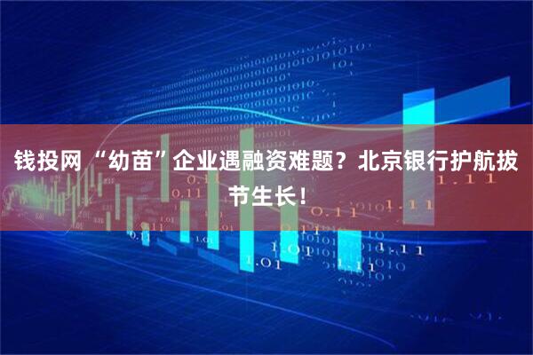 钱投网 “幼苗”企业遇融资难题？北京银行护航拔节生长！