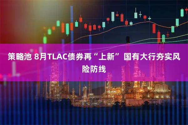 策略池 8月TLAC债券再“上新” 国有大行夯实风险防线