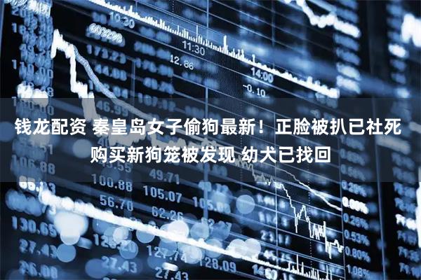 钱龙配资 秦皇岛女子偷狗最新！正脸被扒已社死 购买新狗笼被发现 幼犬已找回