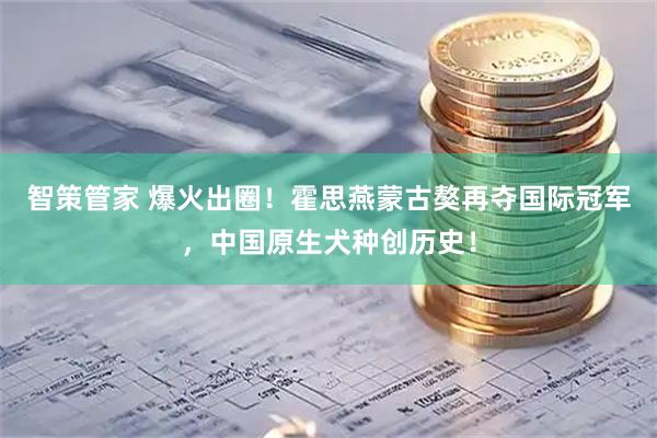 智策管家 爆火出圈！霍思燕蒙古獒再夺国际冠军，中国原生犬种创历史！