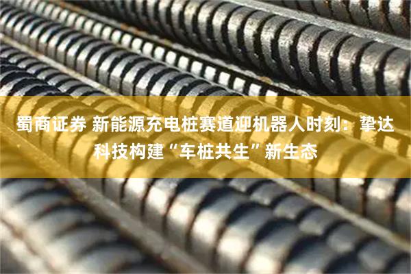 蜀商证券 新能源充电桩赛道迎机器人时刻：挚达科技构建“车桩共生”新生态